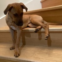 Photo of Marmie