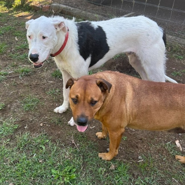 Photo of Thunderstruck