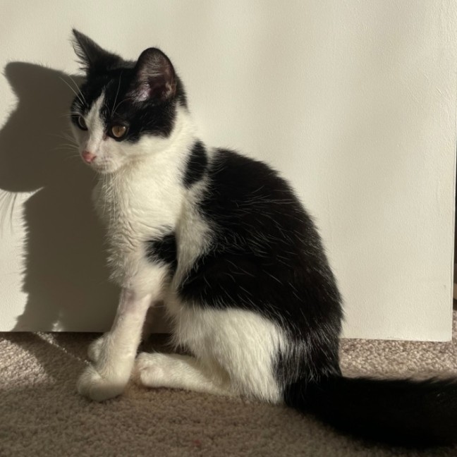 Photo of Turbo