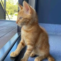 Photo of Woody