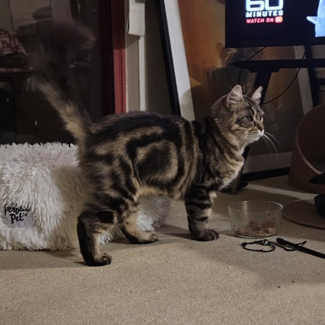 Photo of Tobbie