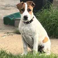 Photo of Lucy
