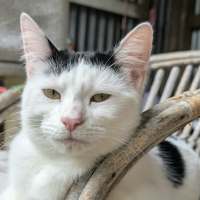 Photo of Diva