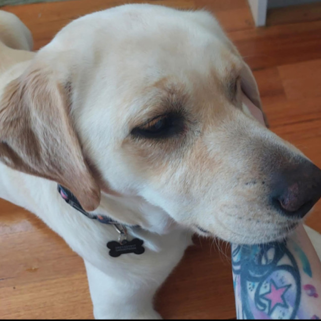 Photo of Lucia (Lucy)