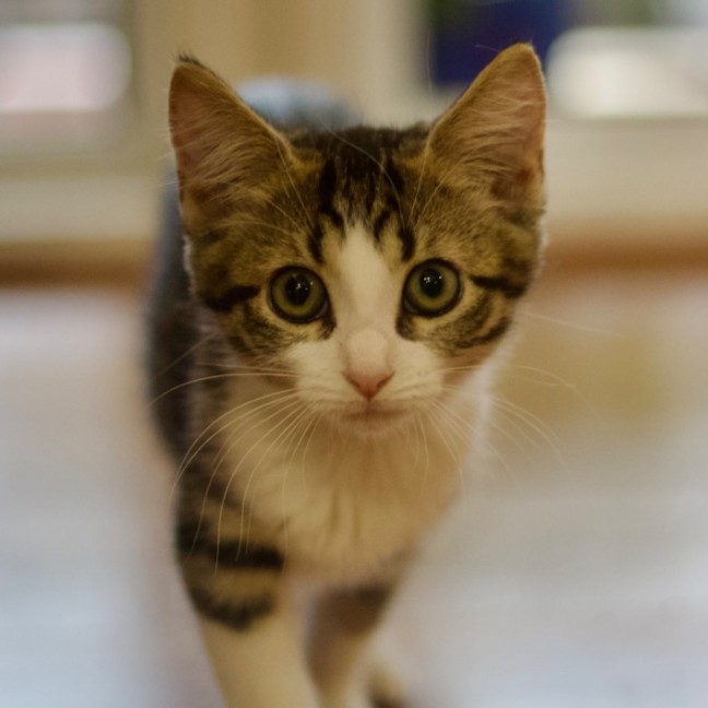 Photo of 💟 Mabel 💟