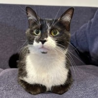 Photo of Daisy