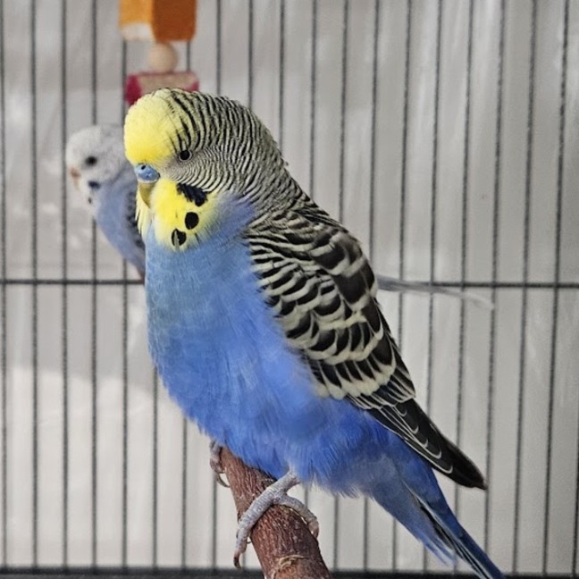 Photo of Ocean & Bebe