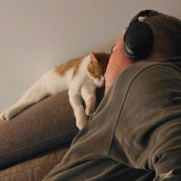 Photo of Burger 🍔 