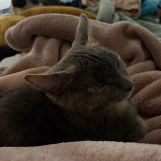 Photo of Baby & Blossom 