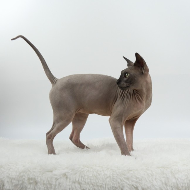 Photo of Mr Bobinsky