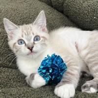 Photo of Pearl And Marble