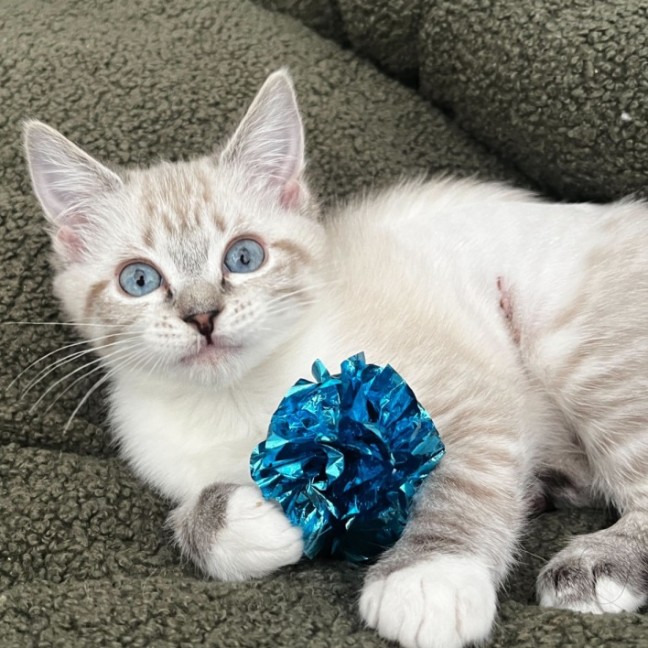 Photo of Pearl And Marble