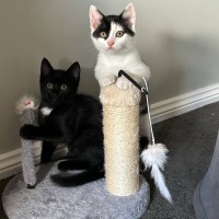 Photo of Parkway 💕