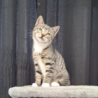 Photo of Todd