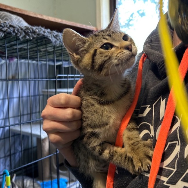 Photo of Savannah 🥰