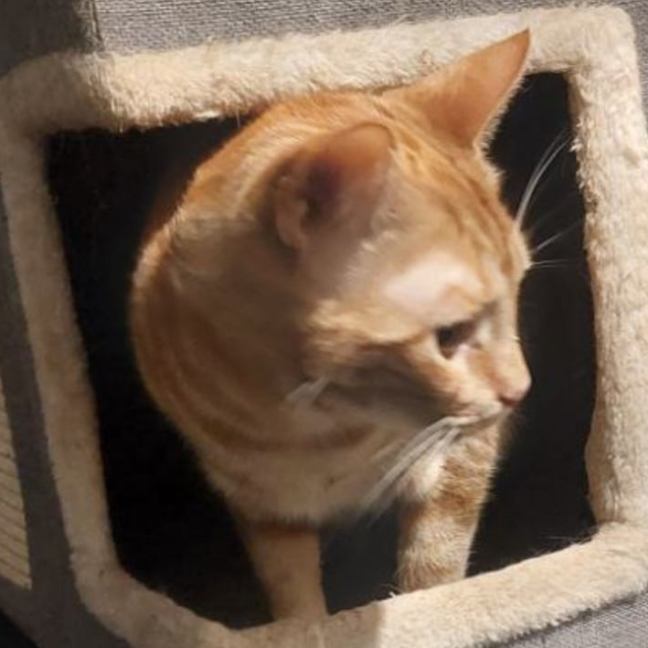 Photo of Oki 🥰