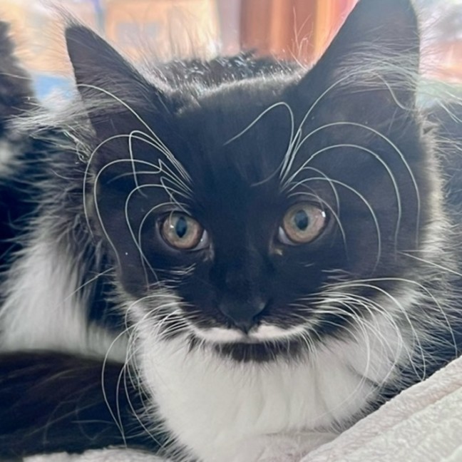 Photo of Nichaud & Paris