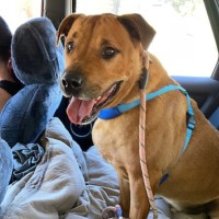 Photo of Thunderstruck