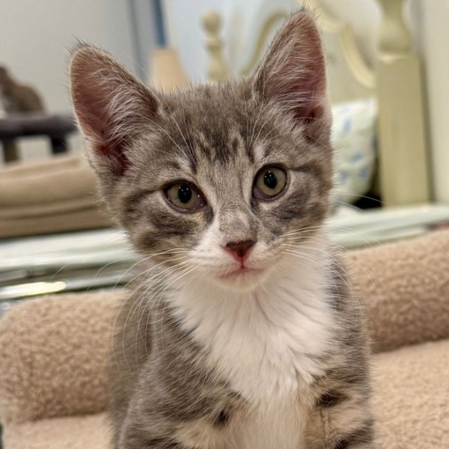 Photo of Bobbi