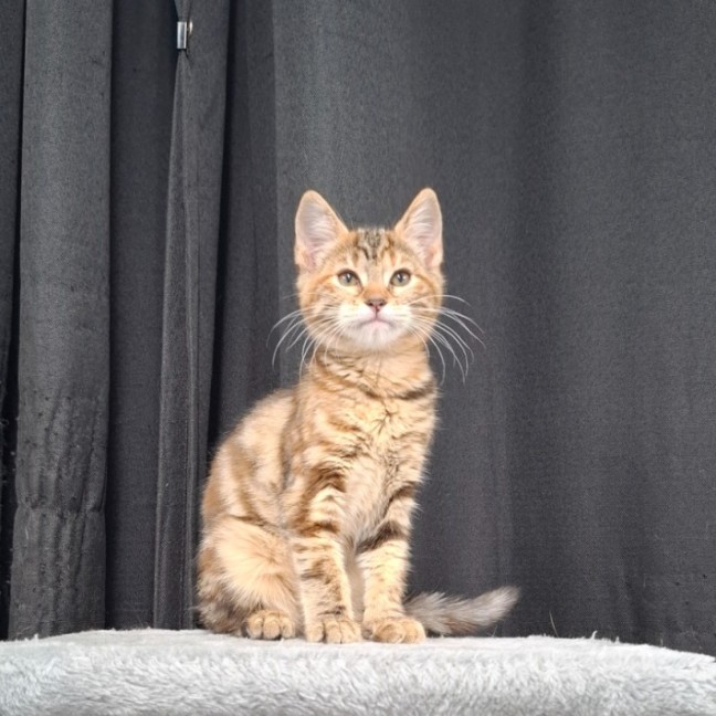 Photo of Amelia