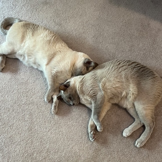 Photo of Justi & Moni