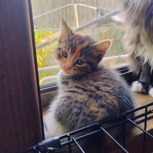 Photo of Eliza