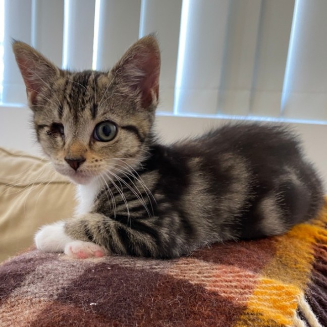 Photo of Thelma