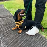 Photo of Eddy