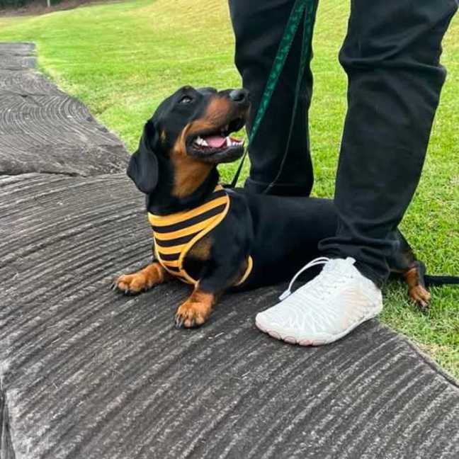 Photo of Eddy