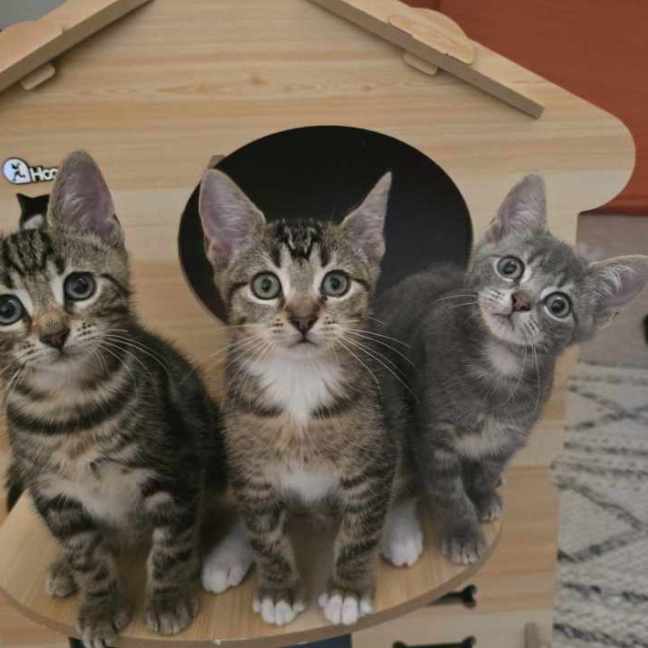 Photo of 🧡 Magnus 🧡