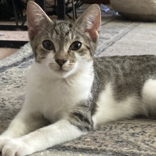 Photo of Rosie