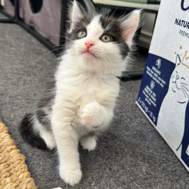 Photo of Benny & Gatsby