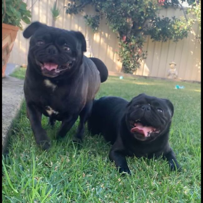 Photo of Lexi & Jay Jay