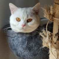 Photo of Dora Pearl