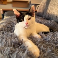 Photo of Minnie