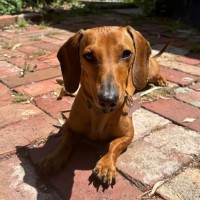 Photo of Slim