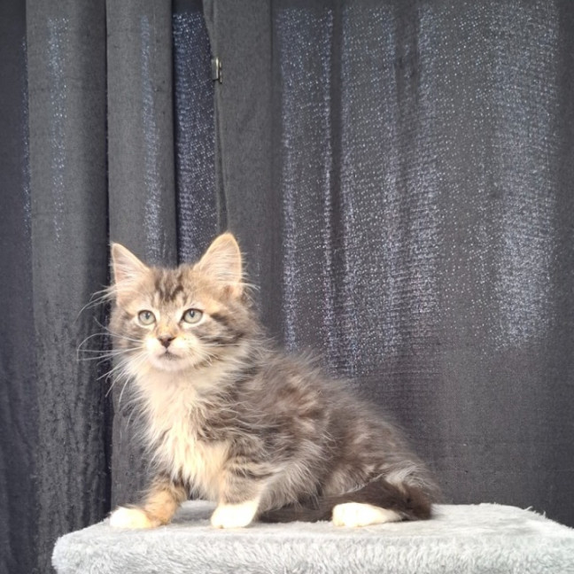 Photo of Bobby
