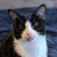 Photo of Silvana