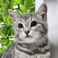 Photo of 🎆 Holly 6027 🎆