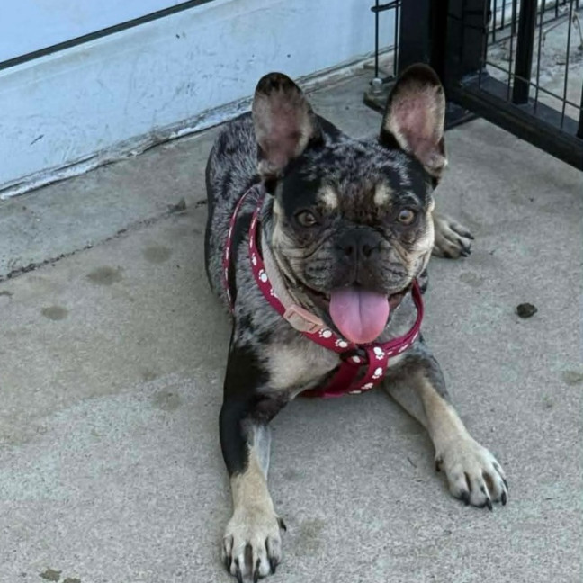 Photo of Cleo
