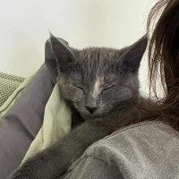 Photo of Maeve 