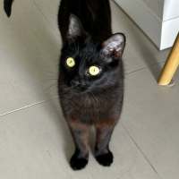 Photo of Elsie 