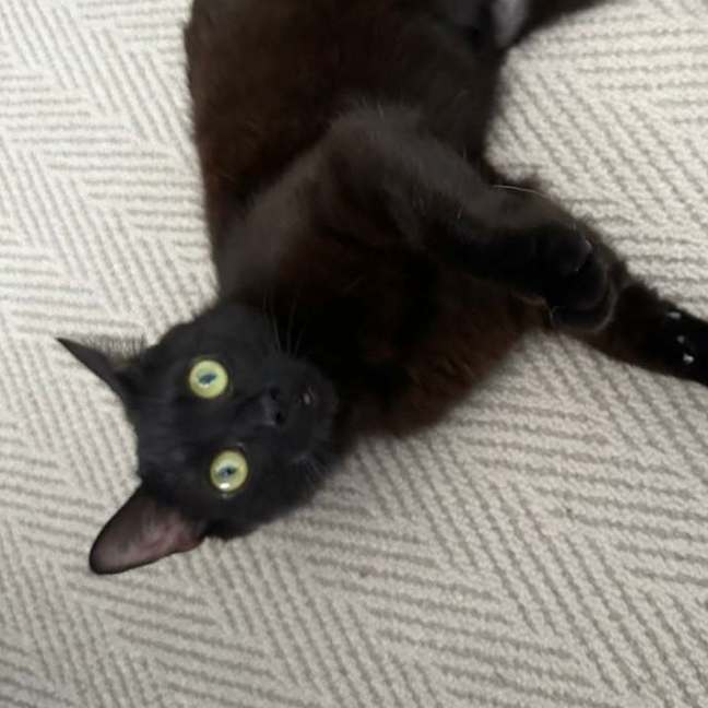 Photo of Elsie 