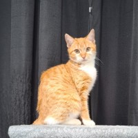 Photo of Claudia