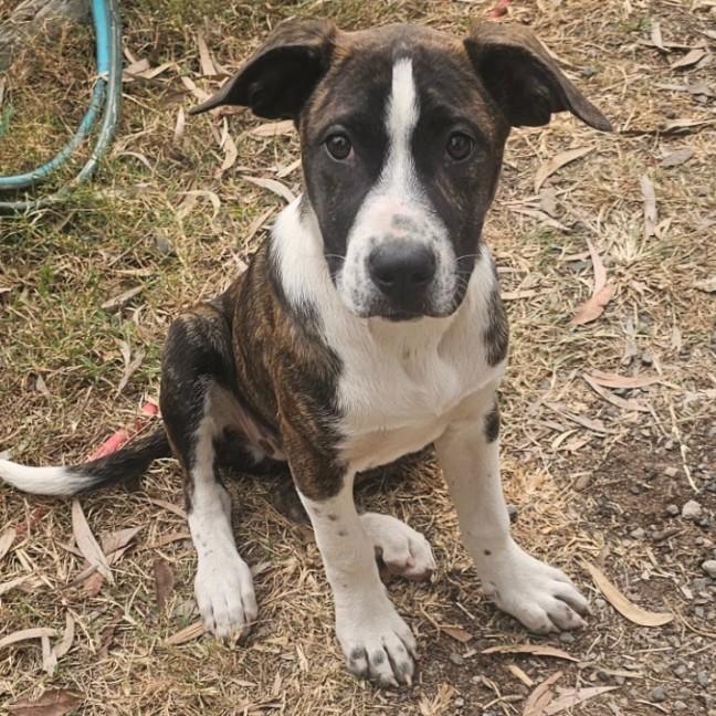 Photo of Molly