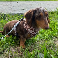 Photo of Oakleigh