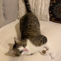 Photo of Charlotte 