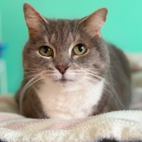 Photo of Pickles