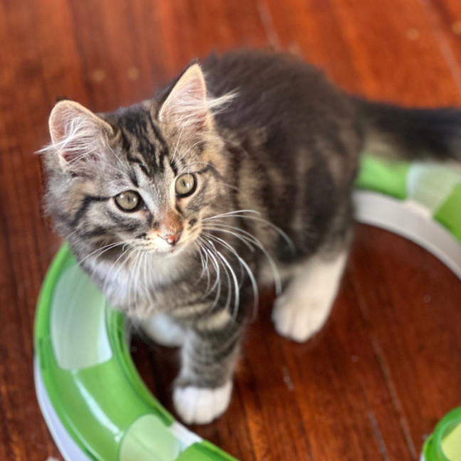 Photo of Edmond