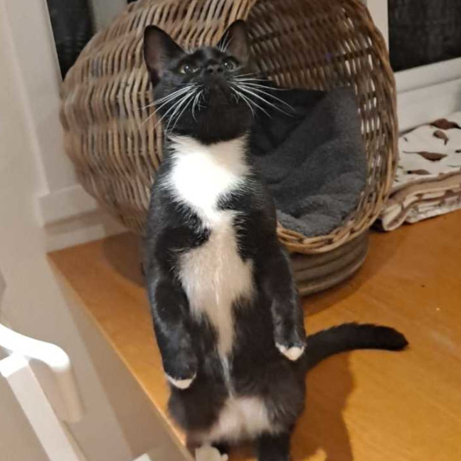 Photo of Mitzy